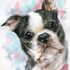sweet dog face head tilt