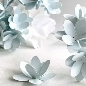 Daisies on stem