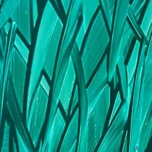 Poster with plants 4. Abstract image.