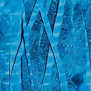 Poster with plants 5. Abstract image.