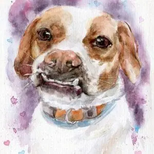 cute sweet dog face portrait