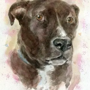 Sweet Westley Memorial Pet Portrait Private Listing