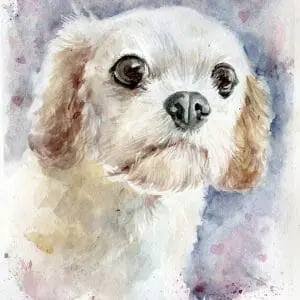 Sweet Chewie Memorial Portrait Private Listing