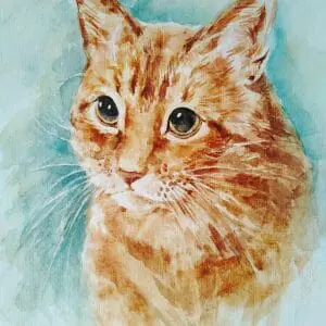 ginger cat face