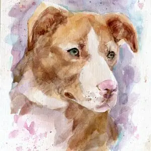 Sweet Bunkley Memorial Pet Portrait Watercolor Painting