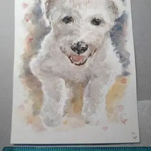 Sweet Neville Watercolor Painting Memorial Pet Portrait