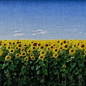 Painting - "Sunshine all around"