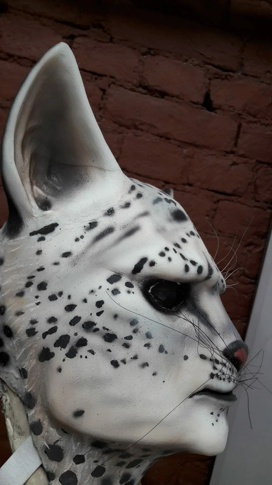 Khajiit silicone mask (realistic cat face for cosplay, performances, LARP  etc) - Crealandia