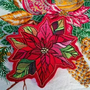 Christmas-star poinsettia