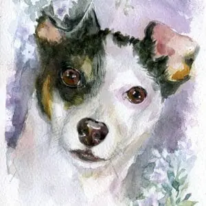 Sweet Damon Dog Portrait Watercolor Painting