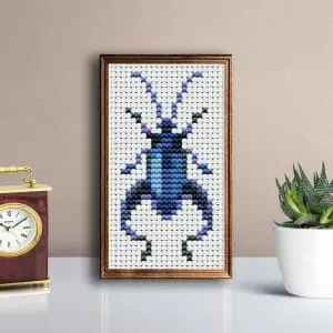 Blue beetle with succulent
