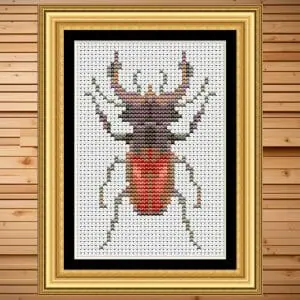 Stag beetle on the board