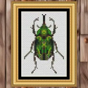 Weevil beetle on the board