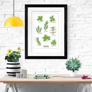 herbs art