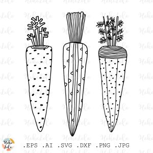 Carrot Svg Clipart Carrot Hand Drawn Png
