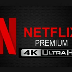 NETFLIX PREMIUM 4K (1 year) | Instant Delivery