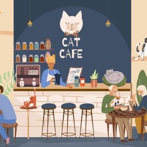 Cat cafe, pet friendly cafe, cartoon, restaurant animals, vector