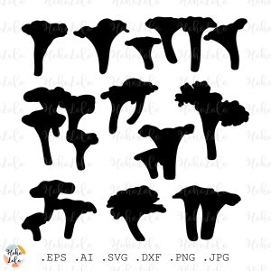 Chanterelle Mushrooms Svg Silhouette Cricut Stencil Templates