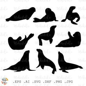 Sea Calf Svg Silhouettes Cricut Stencil Templates