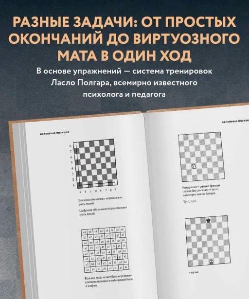 Chess: 5334 Problems Combinations and Games. Laszlo Polgar 6 Chess: 5334 Problems Combinations and Games. Laszlo Polgar - Image 6