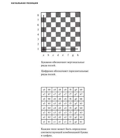 Chess: 5334 Problems Combinations and Games. Laszlo Polgar 13 Chess: 5334 Problems Combinations and Games. Laszlo Polgar - Image 13