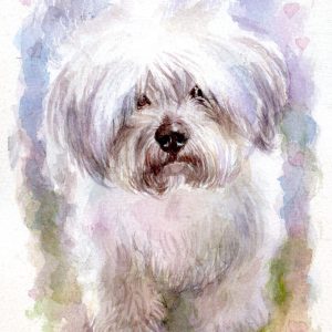 Sweet Skeeter Portrait Watercolor Painting
