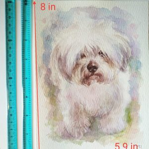 Sweet Skeeter Portrait Watercolor Painting