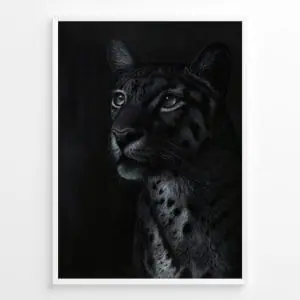 Dark Side print