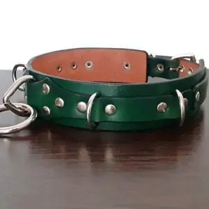 green bdsm collar