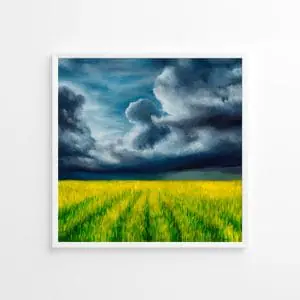 canola field green field farm flowers