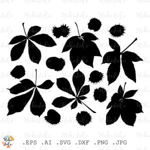 Chestnut Silhouette Svg Cricut Stencil Dxf