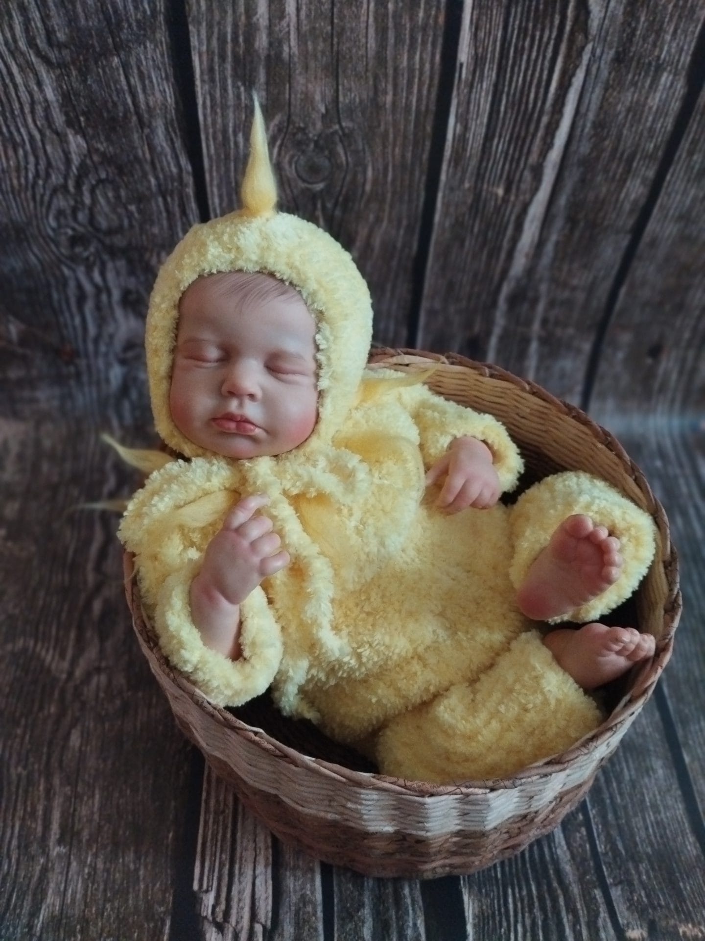 Chubby chicken Outfit, Easter props
