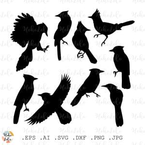 Blue Jay Silhouette Svg Cricut Stencil Dxf