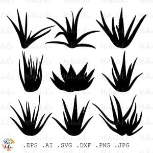 Aloe Vera Silhouette Svg Cricut Stencil Dxf