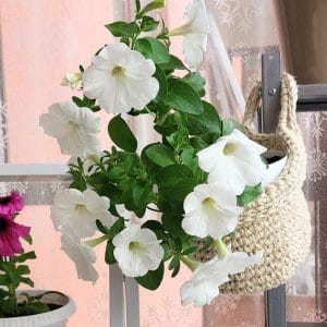 Plant-hangers-balcony-decor