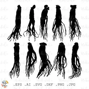 Ginseng Root Svg Silhouette Cricut Stencil Templates