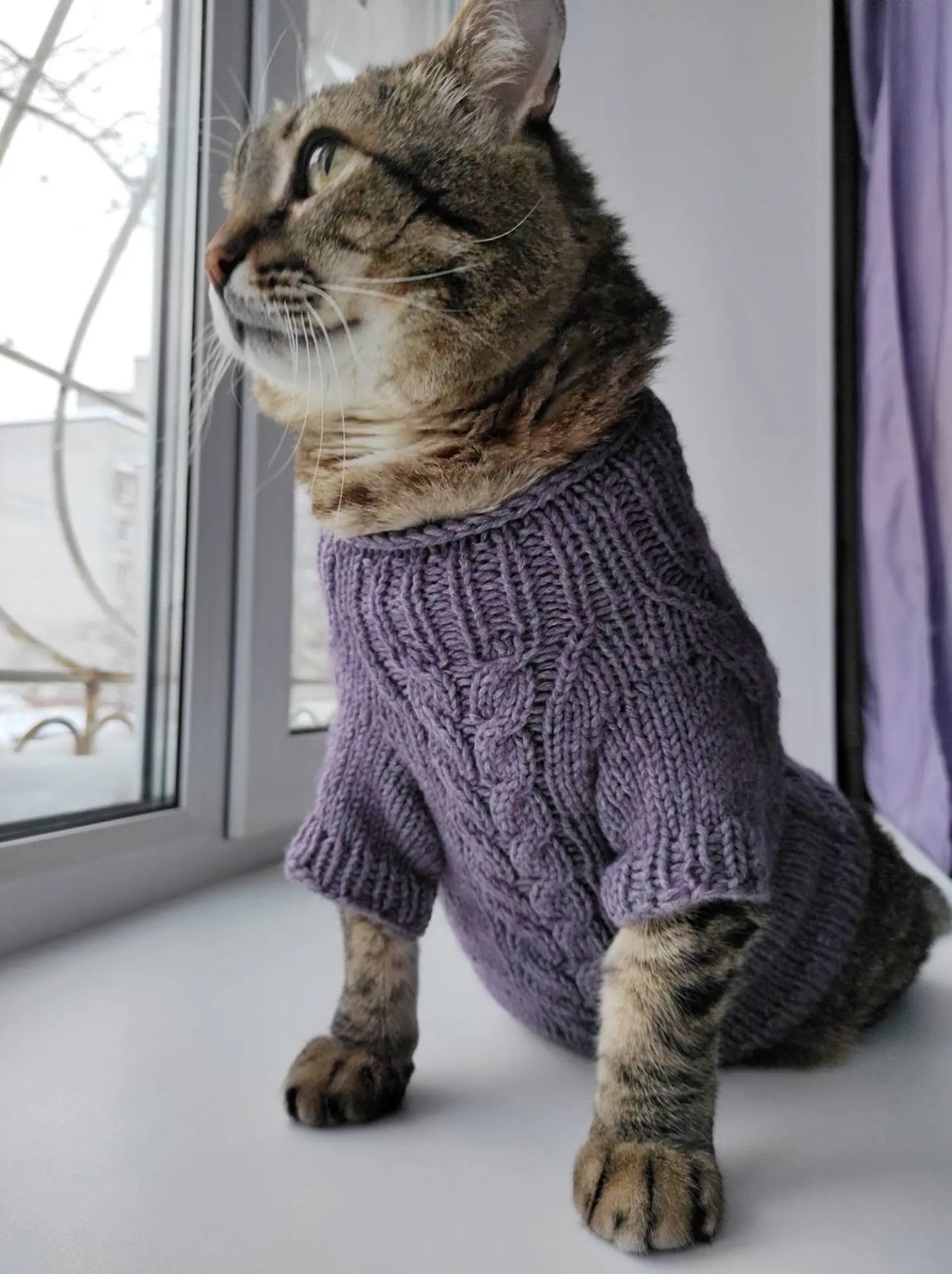 Cardigan for a cat Blues pattern 2 Cardigan for a cat Blues pattern - Image 2