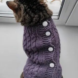 Cardigan for a cat Blues pattern