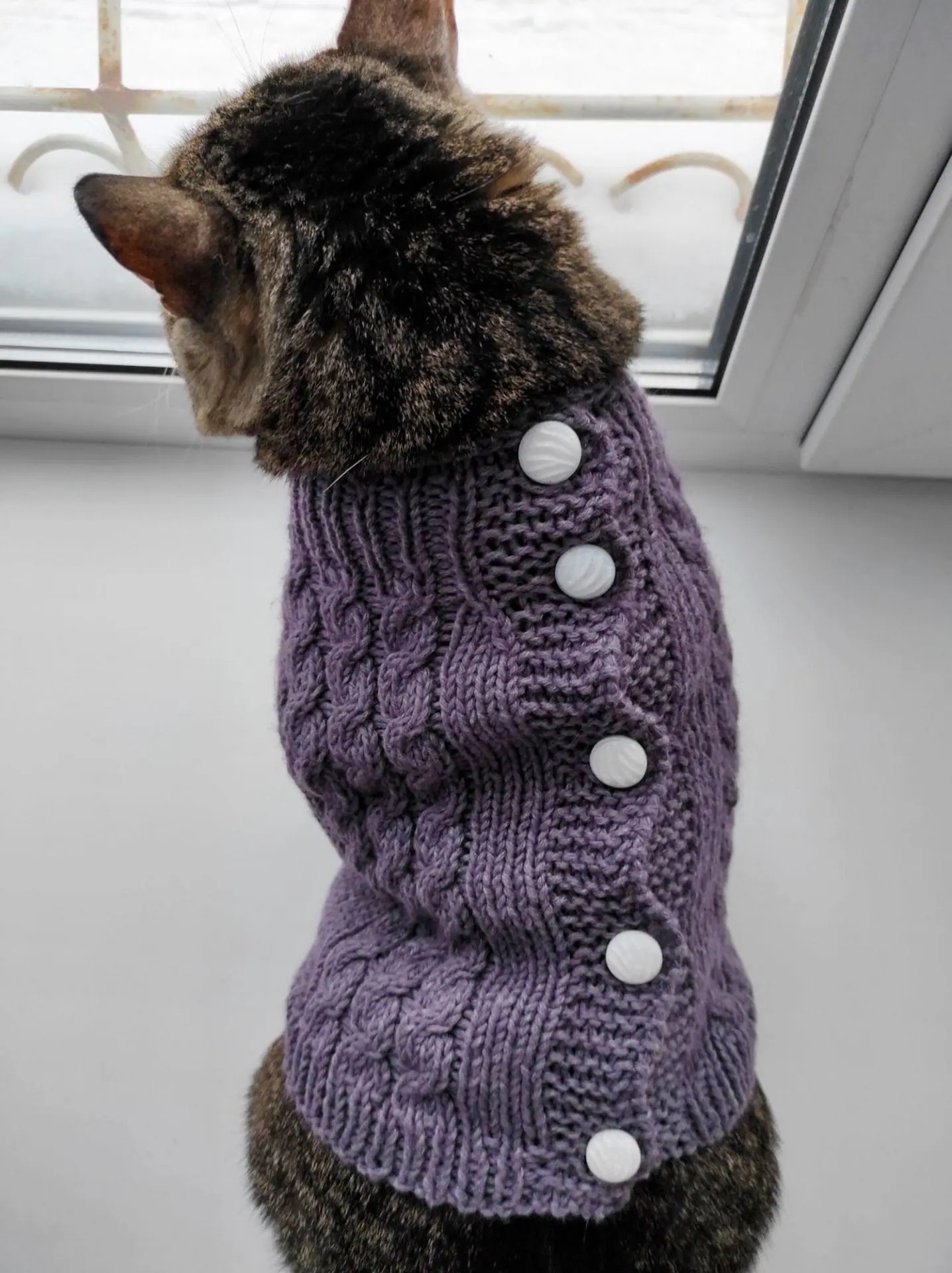 Cardigan for a cat Blues pattern 1 Cardigan for a cat Blues pattern