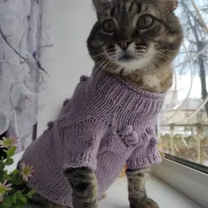 Sweater for a cat "With Bobble" Pattern