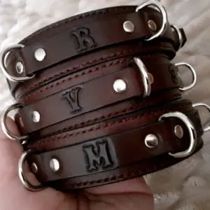 Pesonalized bdsm collar