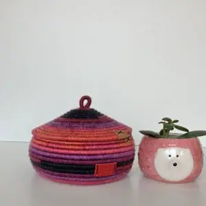 Raspberry storage basket with lid 17 cm x 12 cm Free shipping