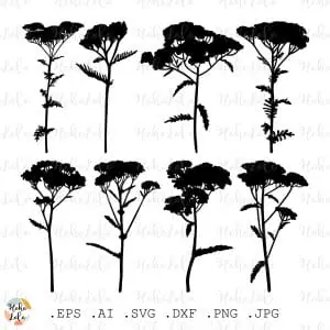 Yarrow Svg Silhouette Cricut Stencil Templates