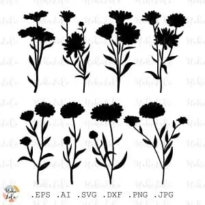 Calendula Svg Silhouette Cricut Stencil Templates
