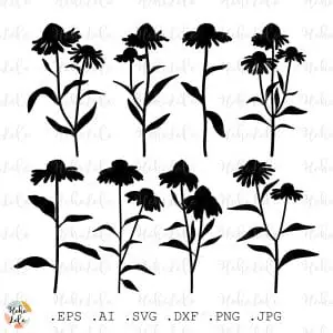 Echinacea Svg Silhouette Cricut Stencil Templates