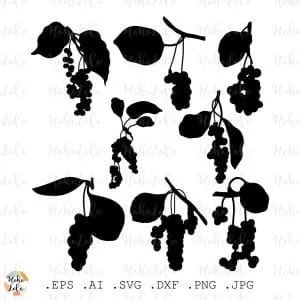 Chinese Lemongrass Svg Silhouette Cricut Stencil