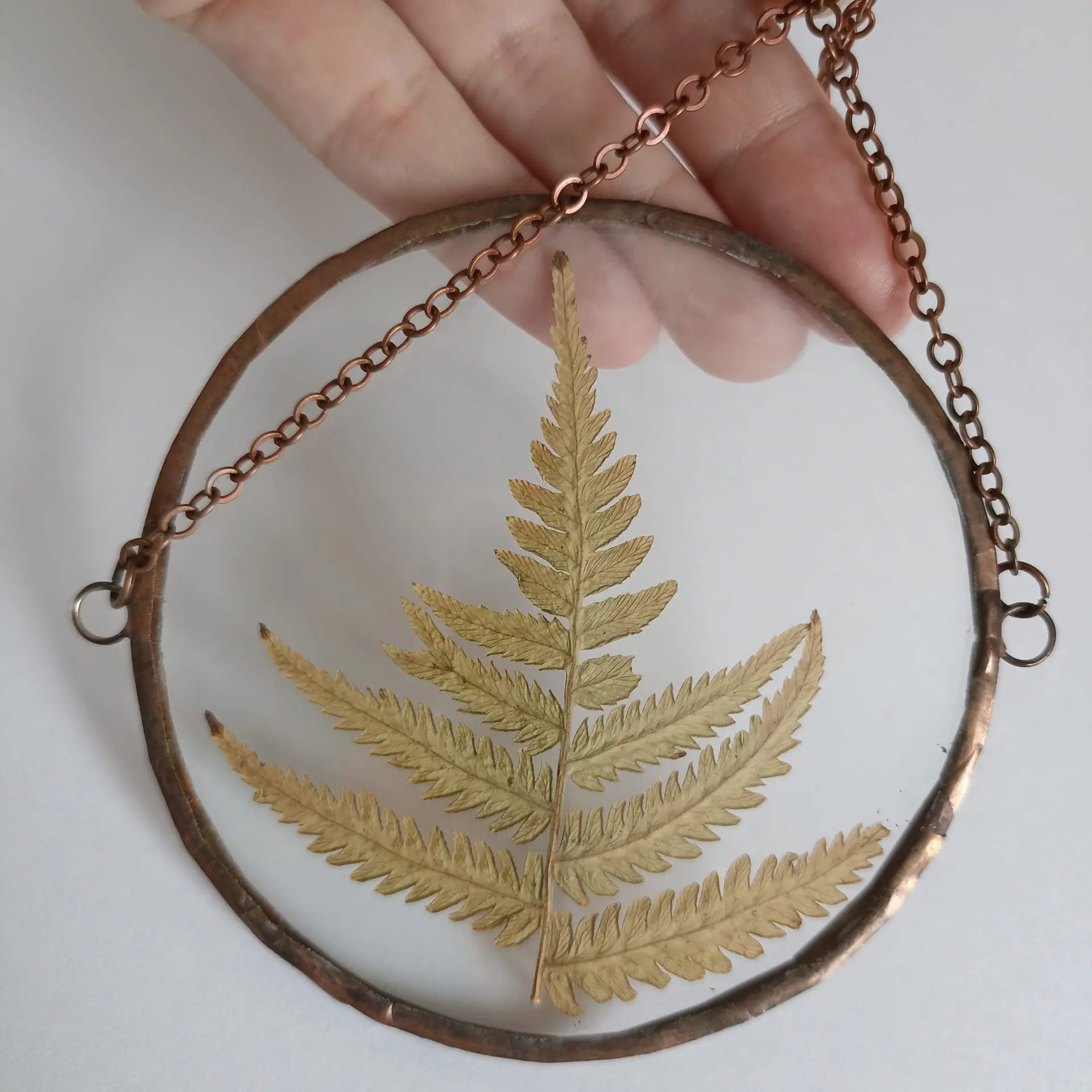 Herbarium. Botanical wall decor