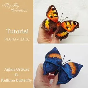 Kallima butterfly