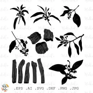 Sandalwood Svg Silhouette Plant Cricut Stencil Templates Clipart
