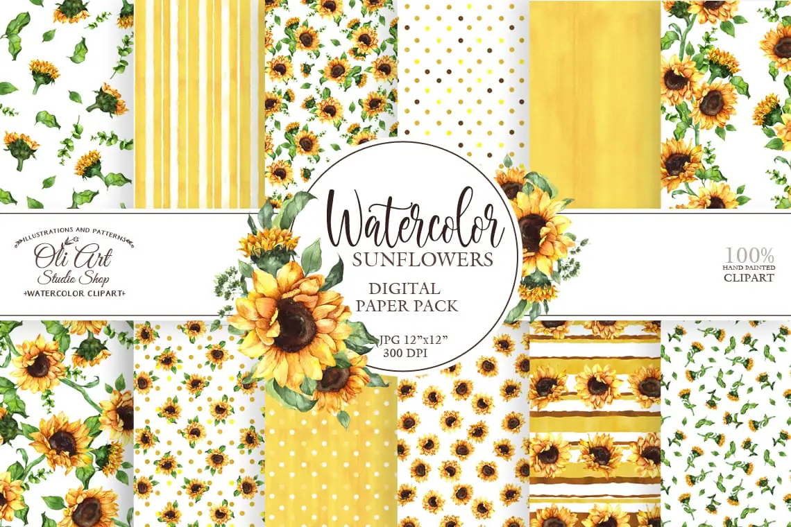 Seamless Patterns SunFlowers Hand Drawn graphic Digital paper pack